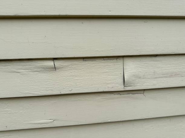 Best Siding Painting and Refinishing  in USA